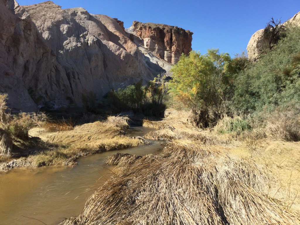 Groundwater Pumping Amargosa River