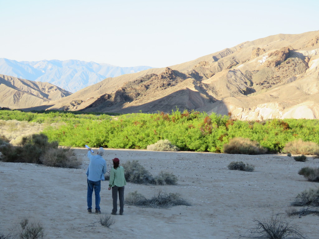 Amargosa Conservancy Resource Monitoring