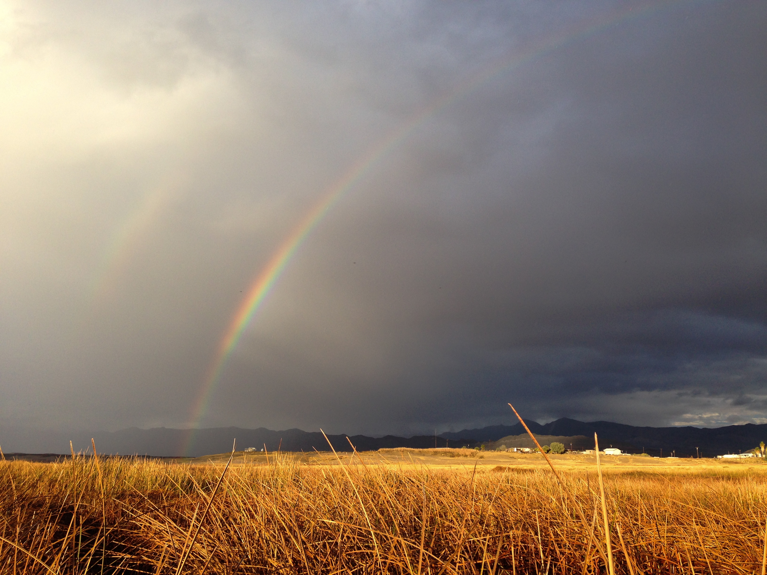 Tecopa Marsh