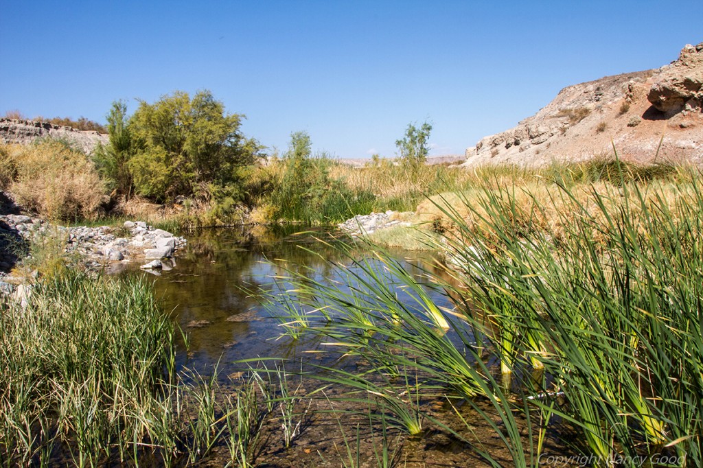 Tecopa Water Project - Amargosa Conservancy