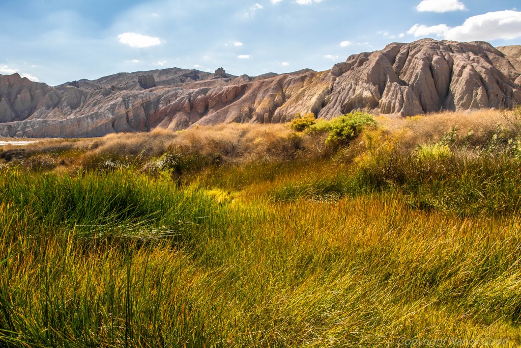 Amargosa Conservancy 