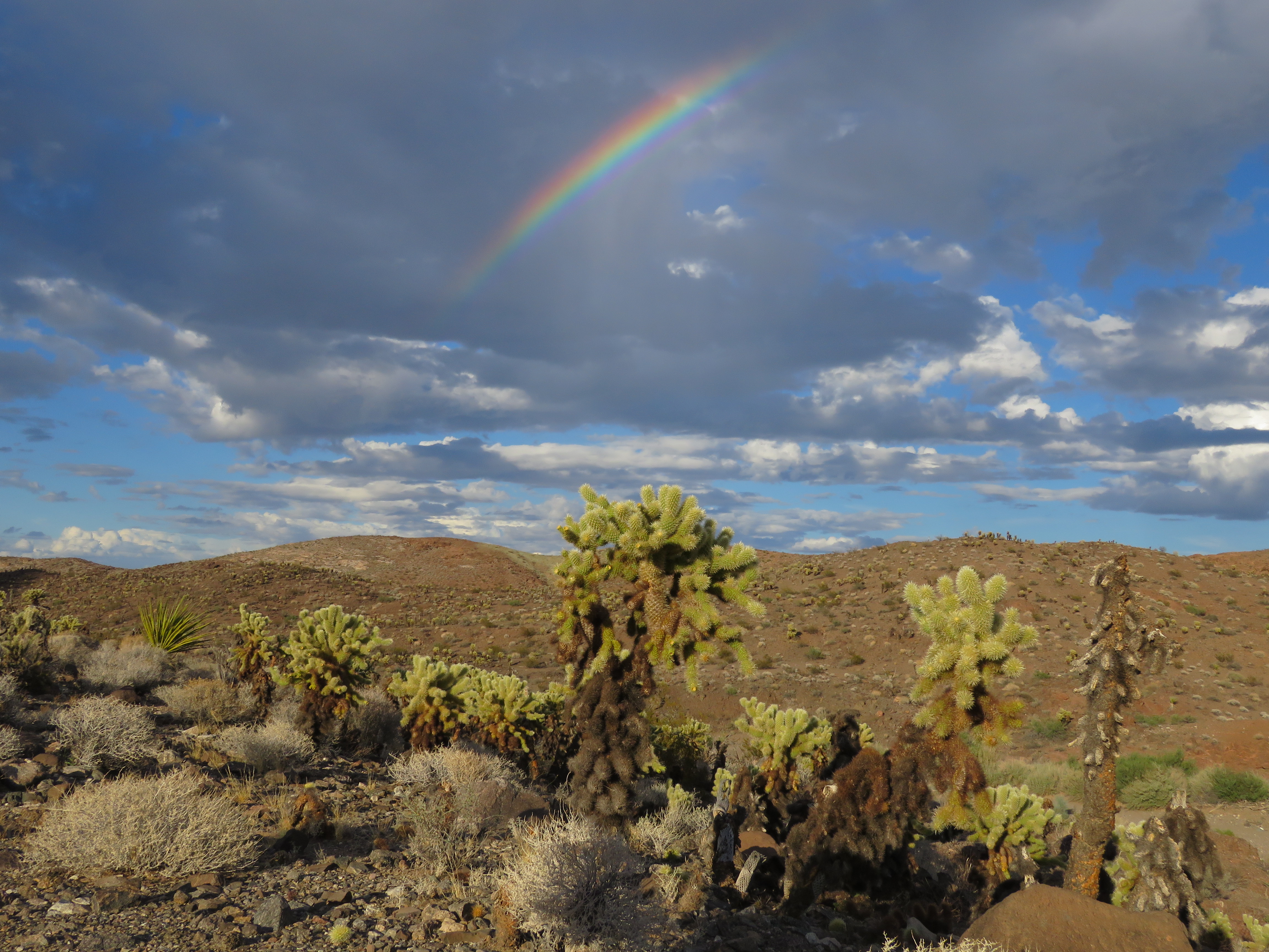 President to designate California Desert national monuments