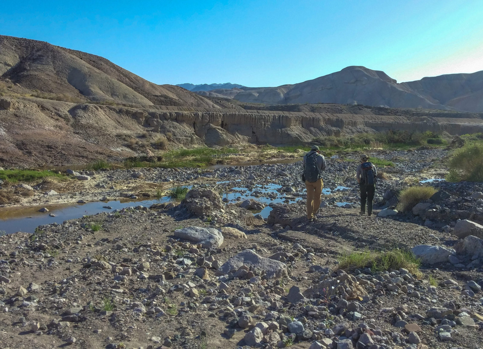 Breaking News: 600,000+ Acres of Amargosa Basin Public Lands Protected