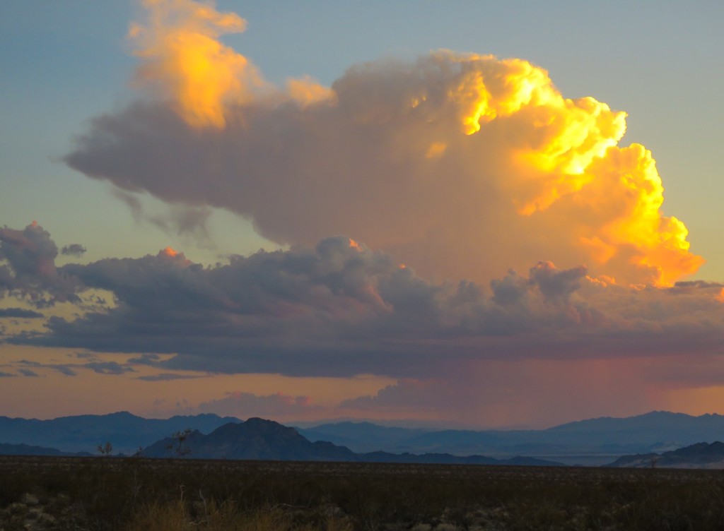 Mojave Trails Amargosa Conservancy