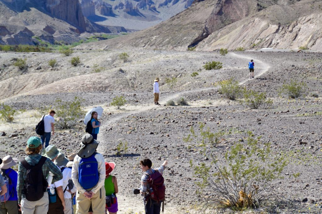 Amargosa Conservancy intern Jayna Saymes leads an interpretive hike along the trail. 