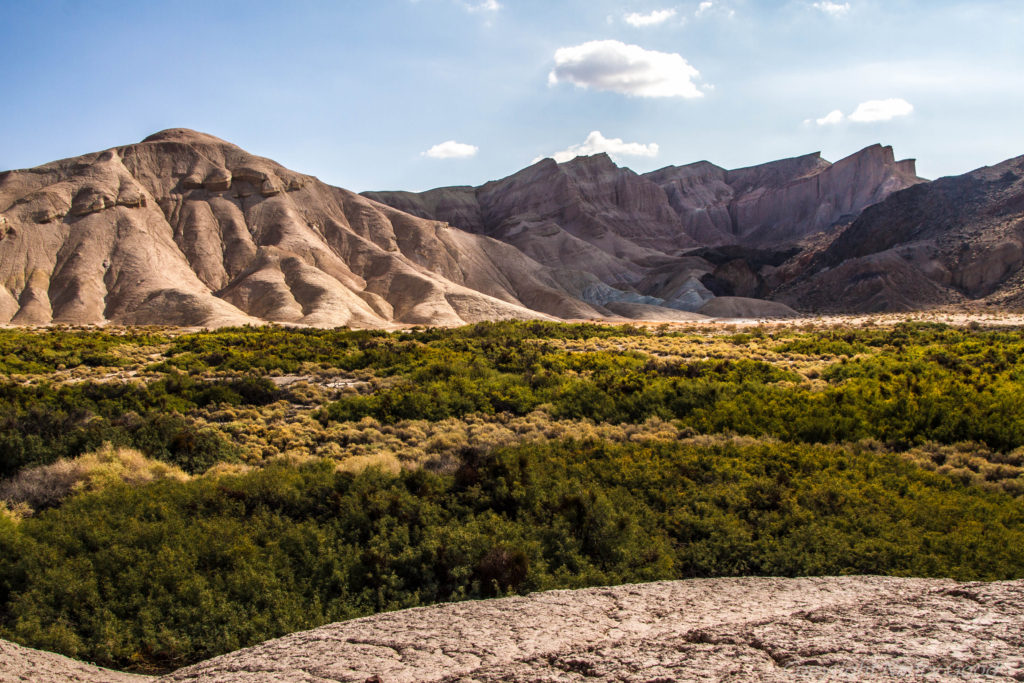 Willow Creek and the Amargosa Canyon, soon to be protected.