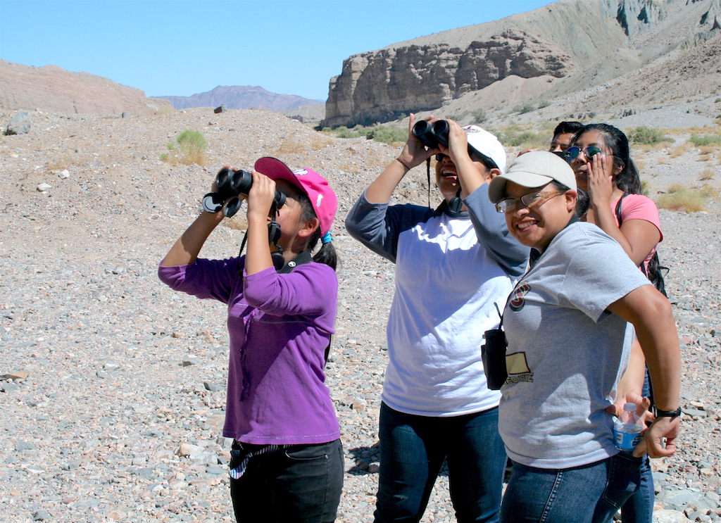 Out and About in Afton Canyon