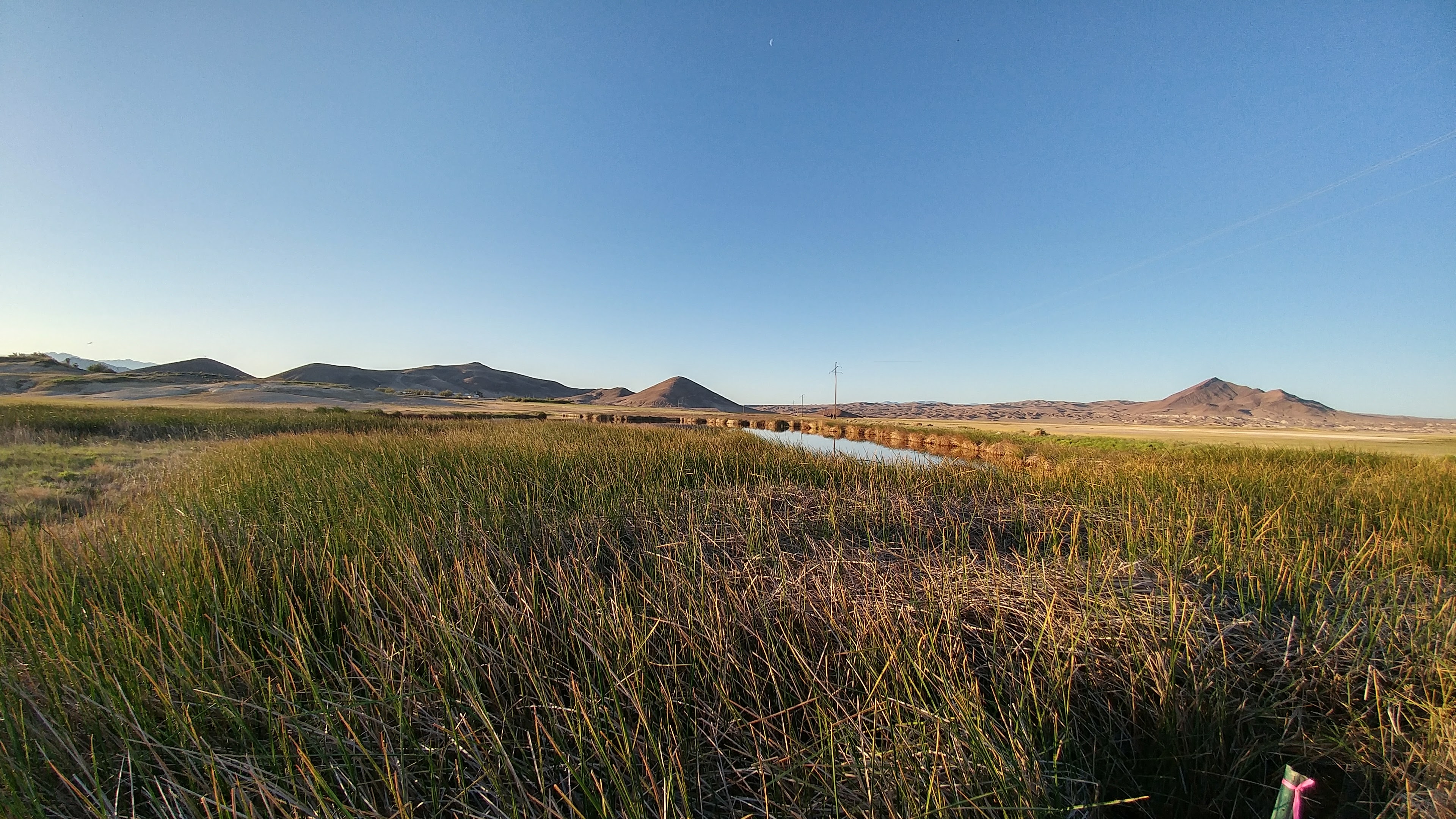 Vole party + leaving Shoshone