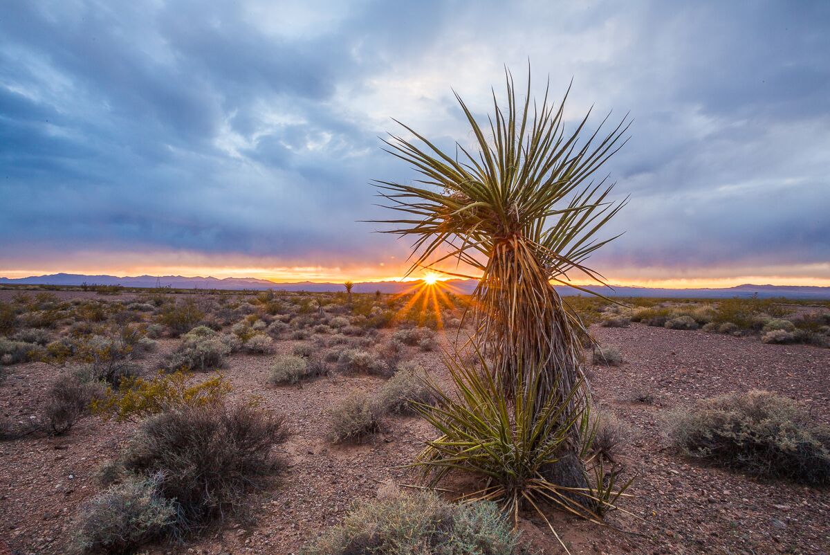 Mojave Trails NM at sunset