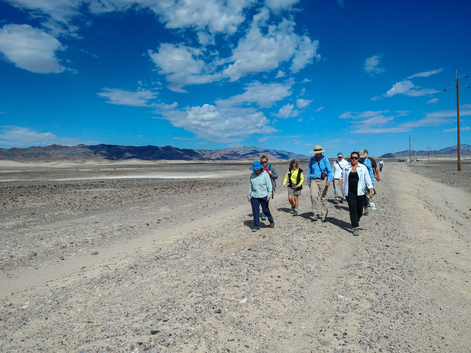 Amargosa Conservancy - A River in the Desert | Amargosa Conservancy