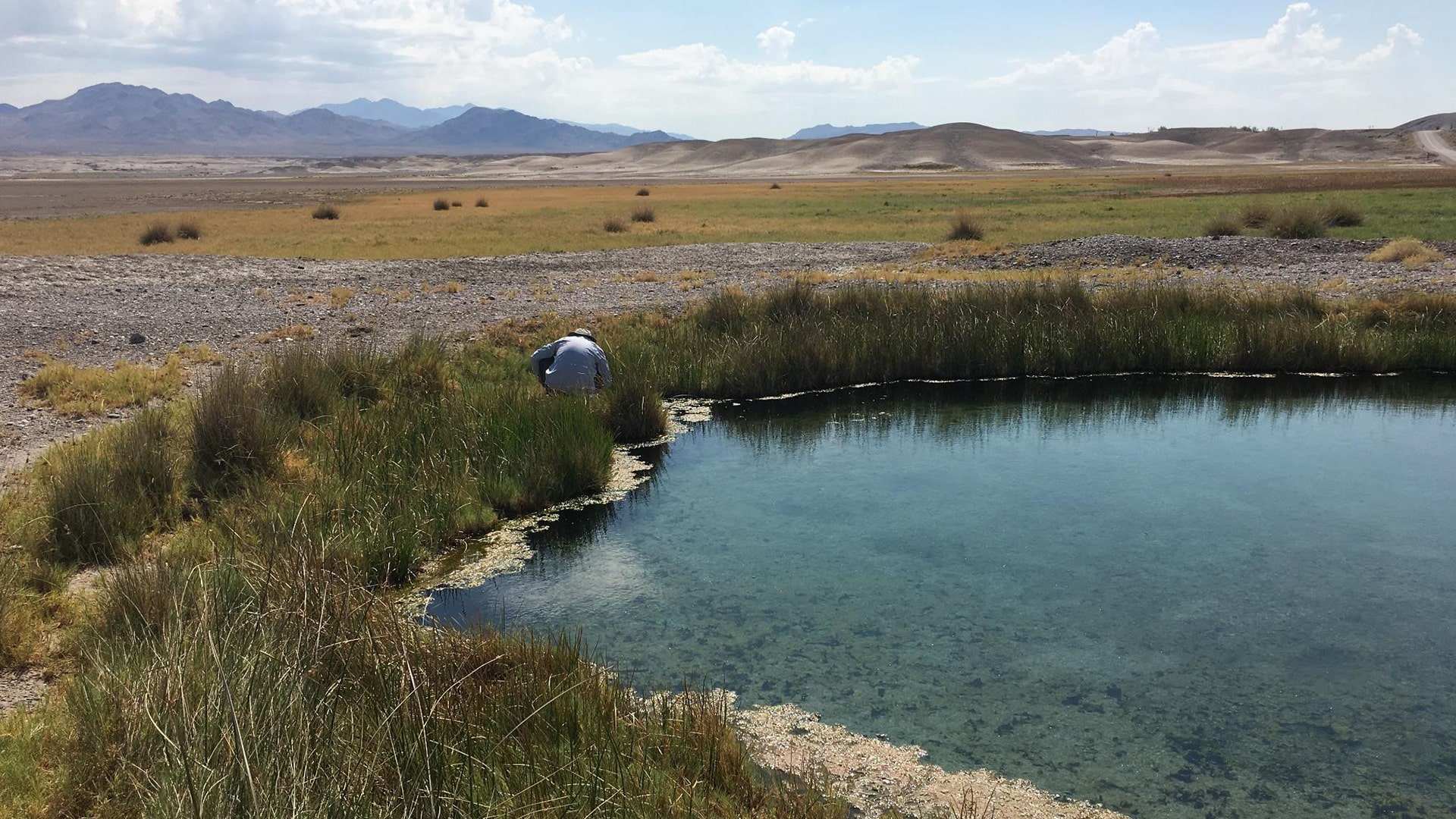 BoreholeSpring Borehole Spring, by Andy Zdon