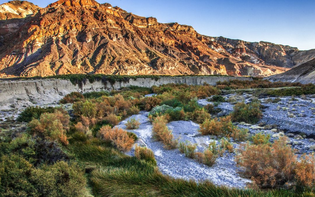 Amargosa Basin by Nancy Good