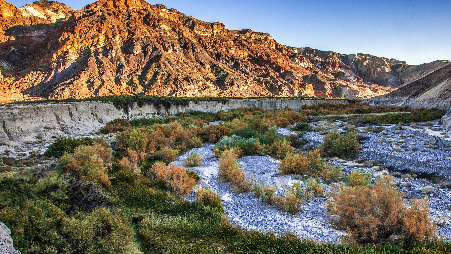 2020 Amargosa State of the Basin Report