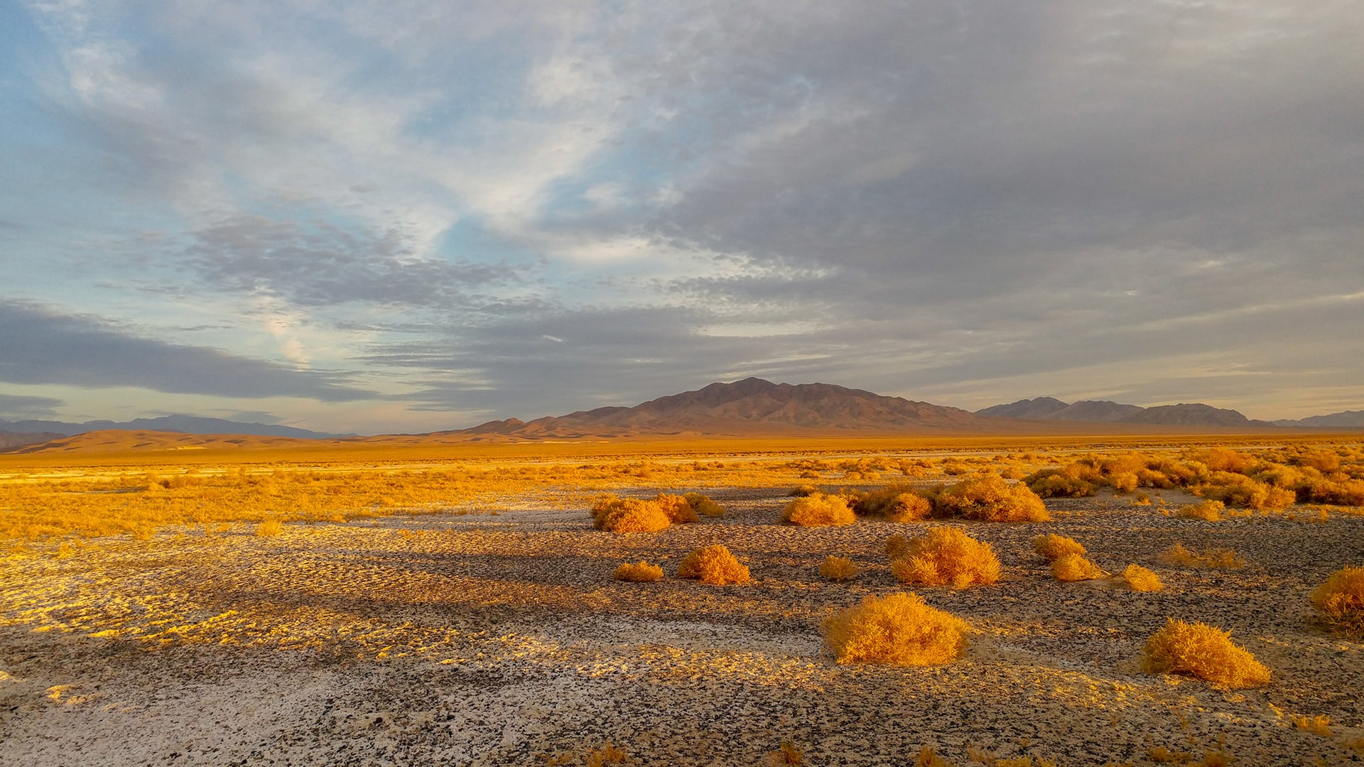 Amargosa Conservancy