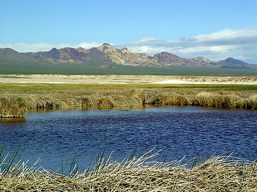 Amargosa Basin National Monument