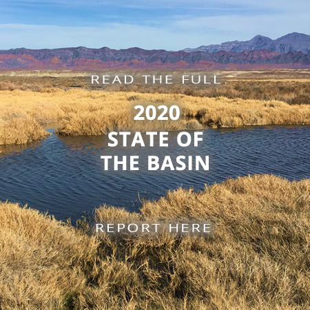 2020 State of the Basin Report