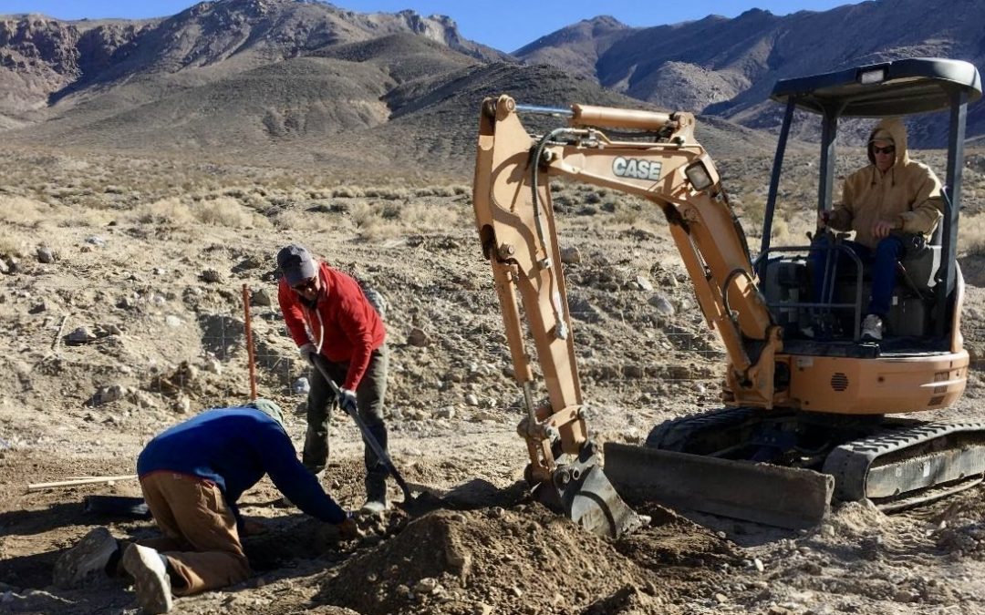 AC Volunteers Assist with Screwbean Mesquite Planting Project