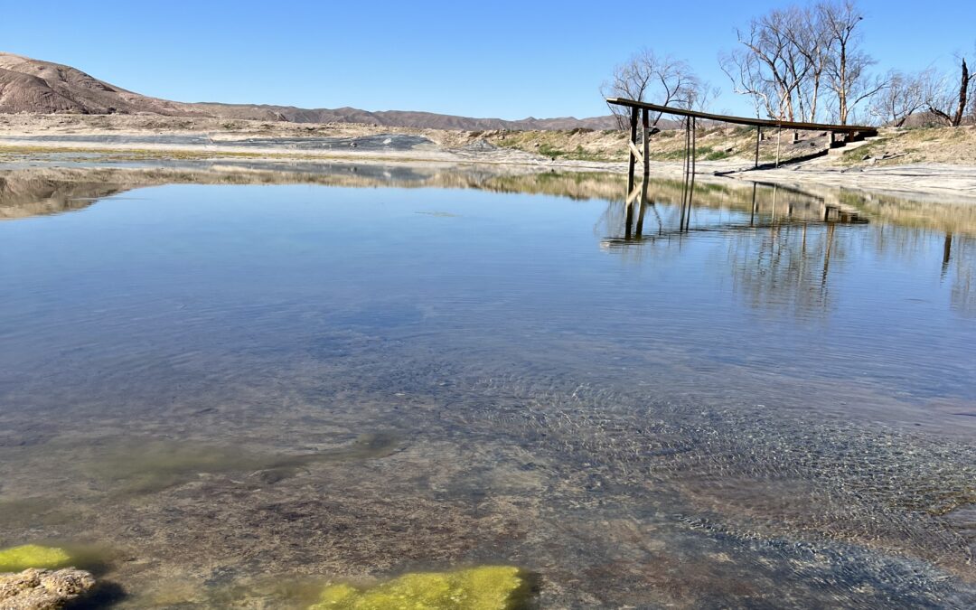 A Pond of Many Purposes: Collaborative Conservation on China Ranch