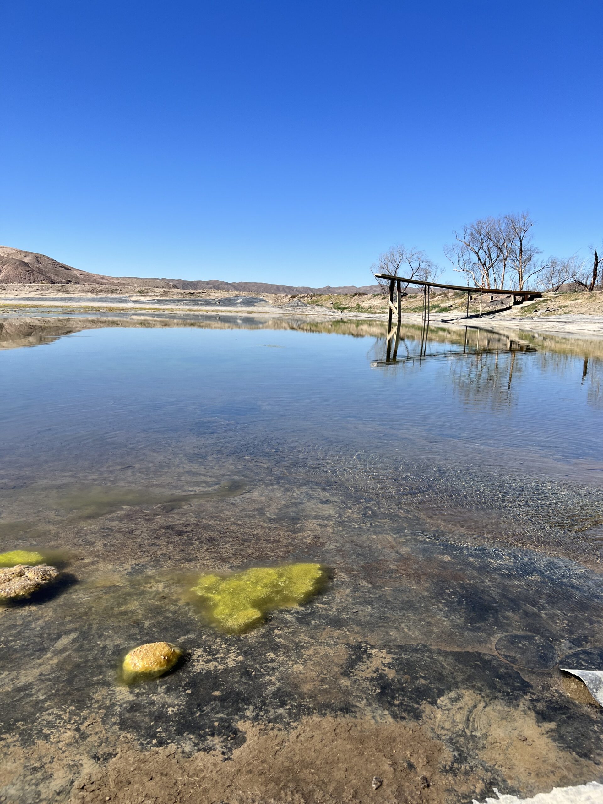 A Pond of Many Purposes: Collaborative Conservation on China Ranch