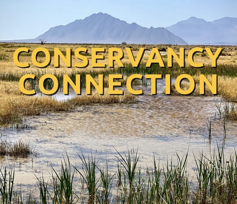 Conservancy Connection, Summer 2022