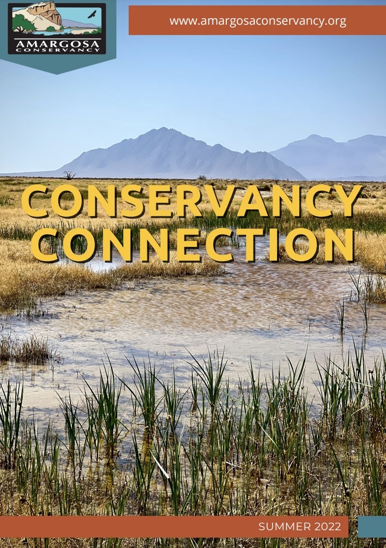 Conservancy Connection, Summer 2022