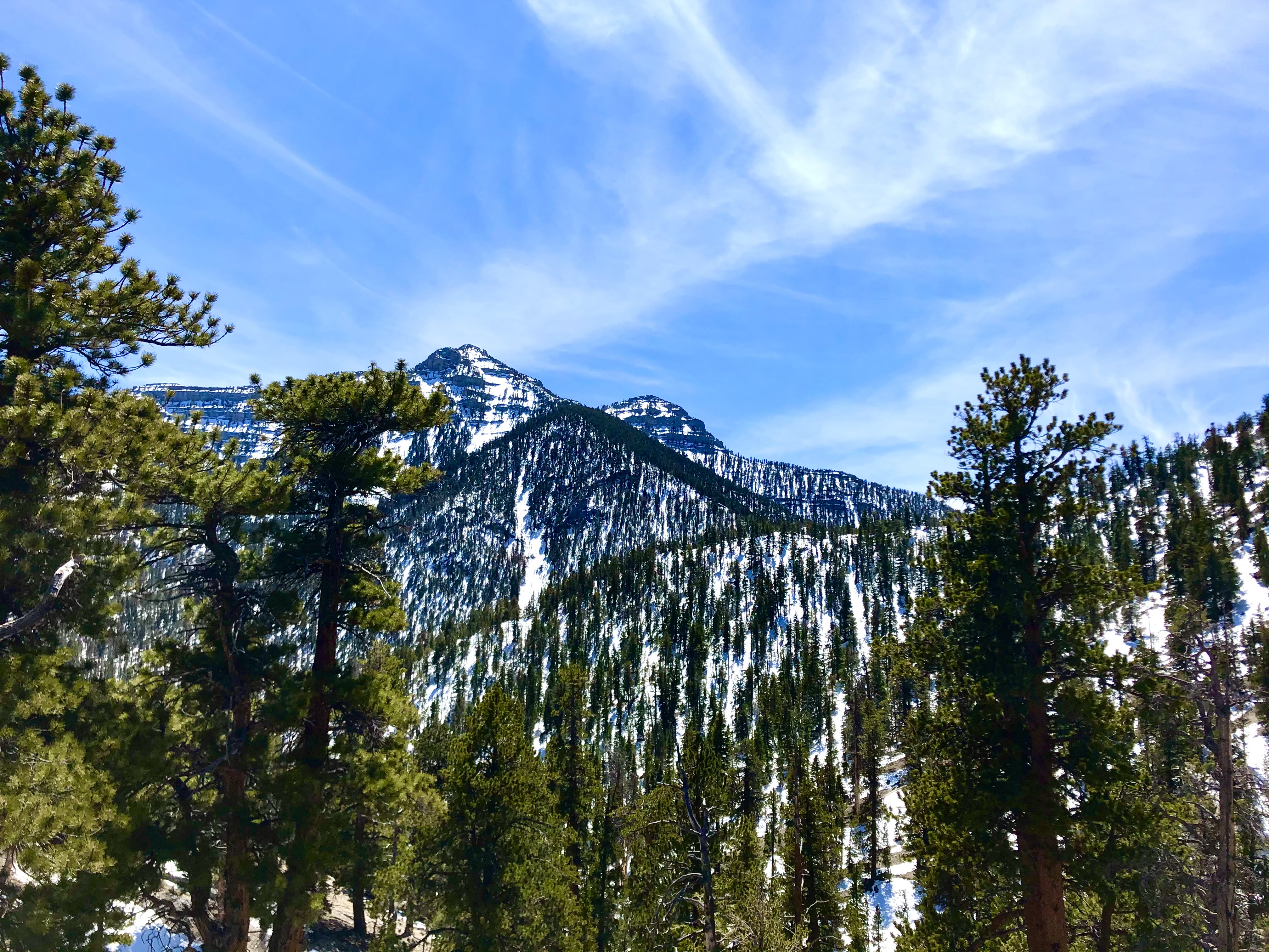 Mountain snowpack: A lifeline to the Amargosa