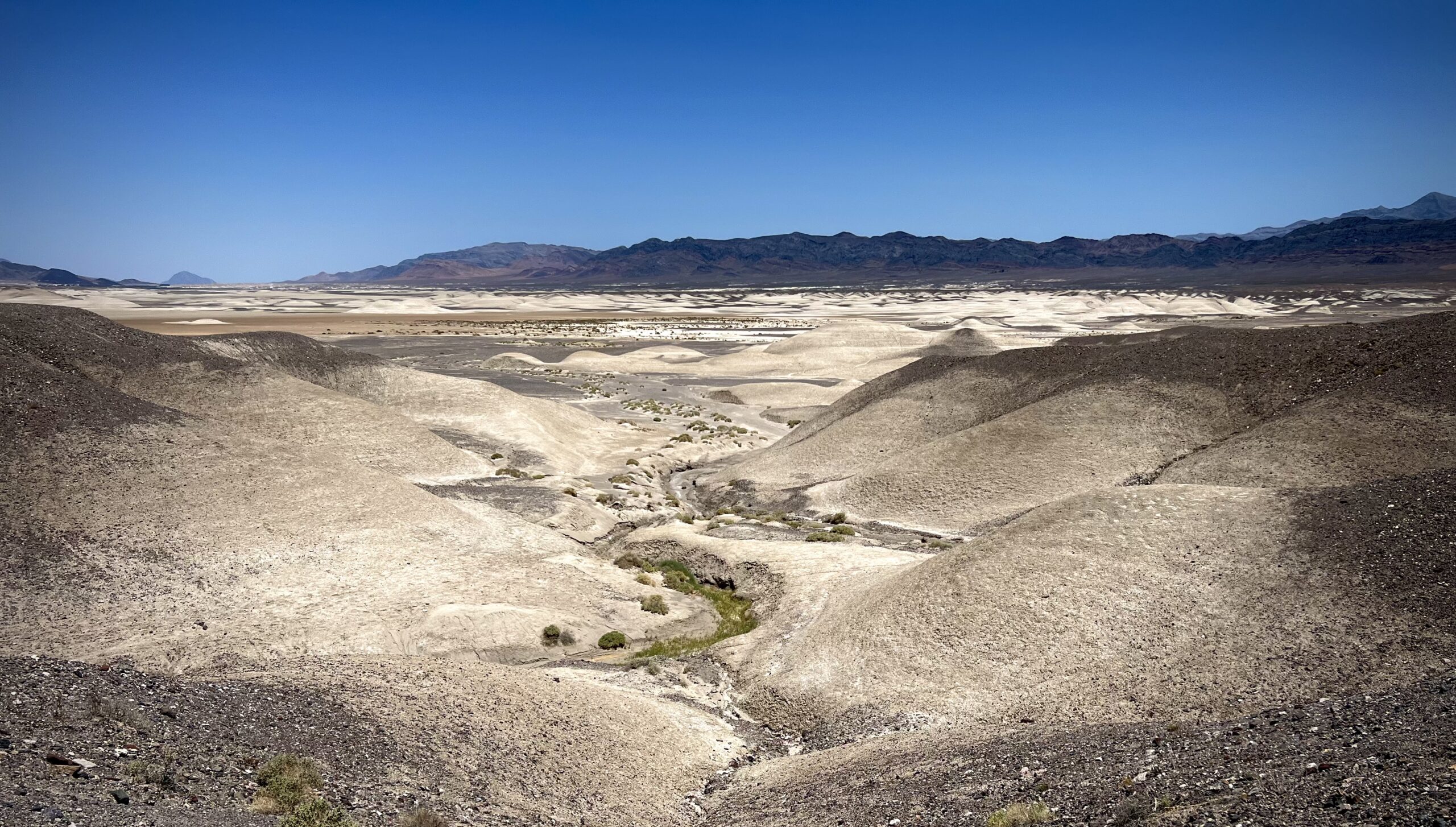 I asked ChatGPT to write a blog post about the Amargosa River. Here’s what happened.