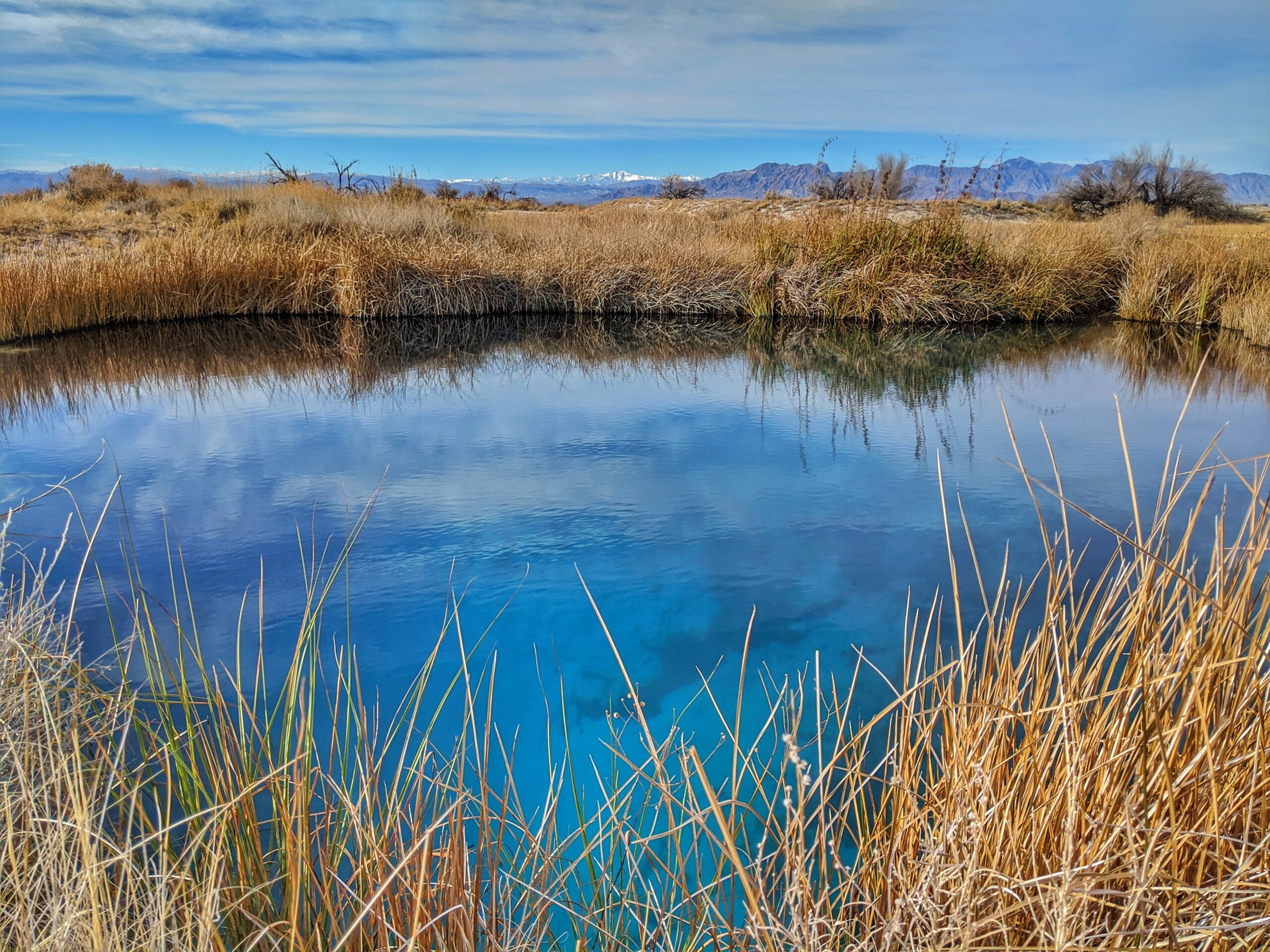 Discover: Ash Meadows National Wildlife Refuge