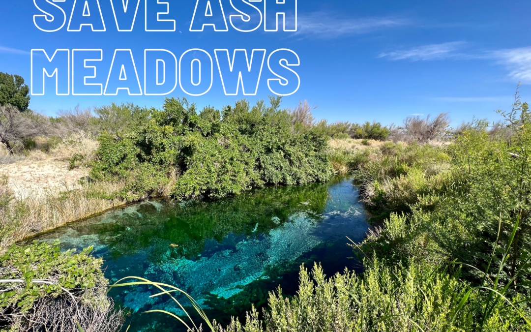 Letter to Leadership: SAVE ASH MEADOWS