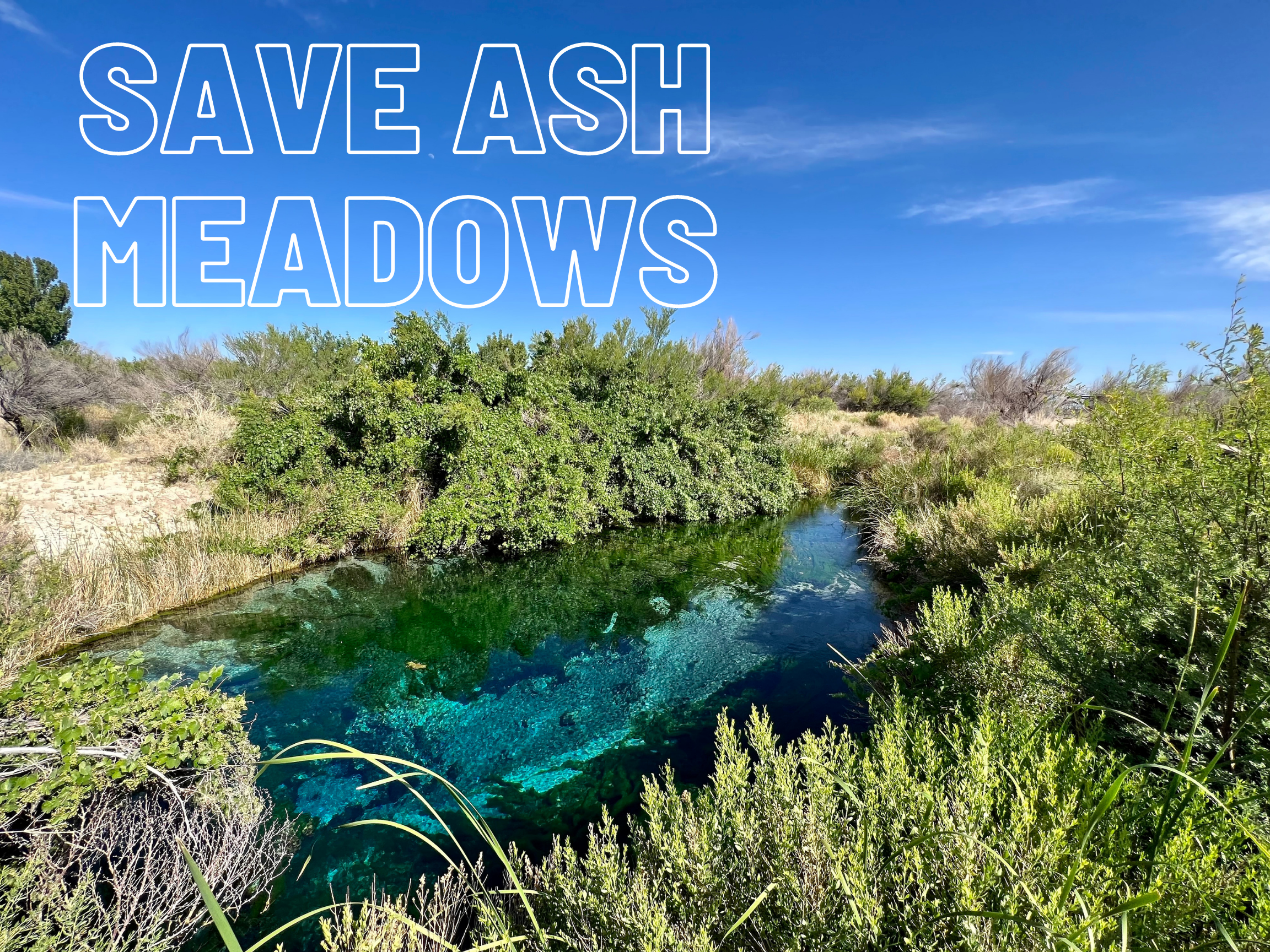 Letter to Leadership: SAVE ASH MEADOWS