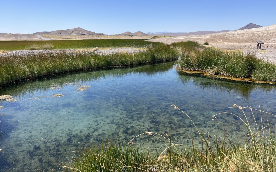 Amargosa Hydrology: Springs and Current Conditions, by Andy Zdon