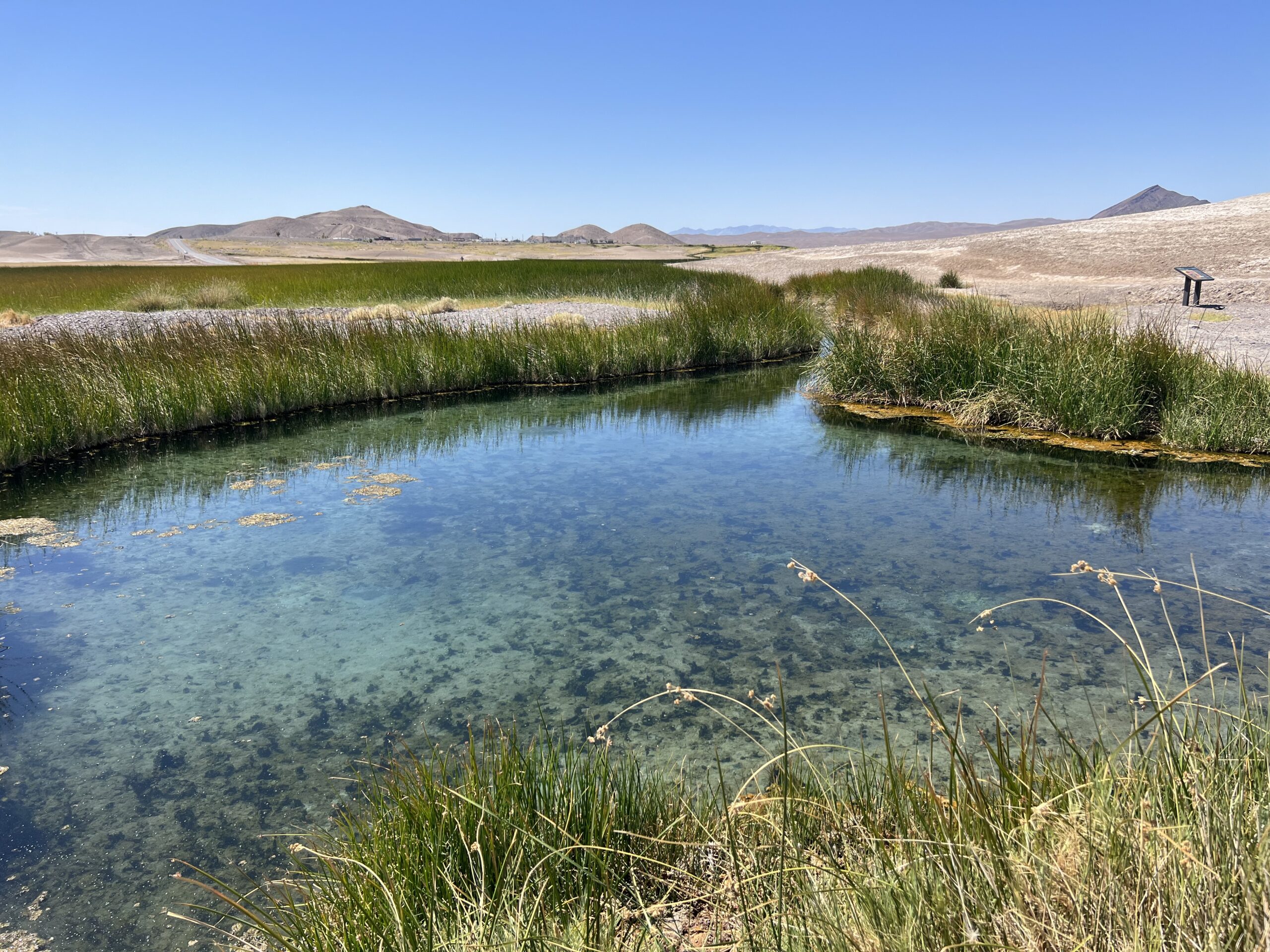 Amargosa Hydrology: Springs and Current Conditions, by Andy Zdon