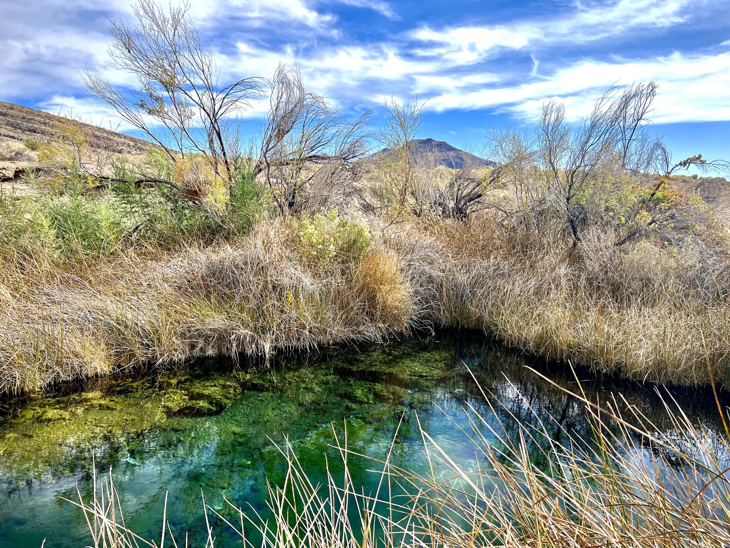 Groundwater Pumping Amargosa River