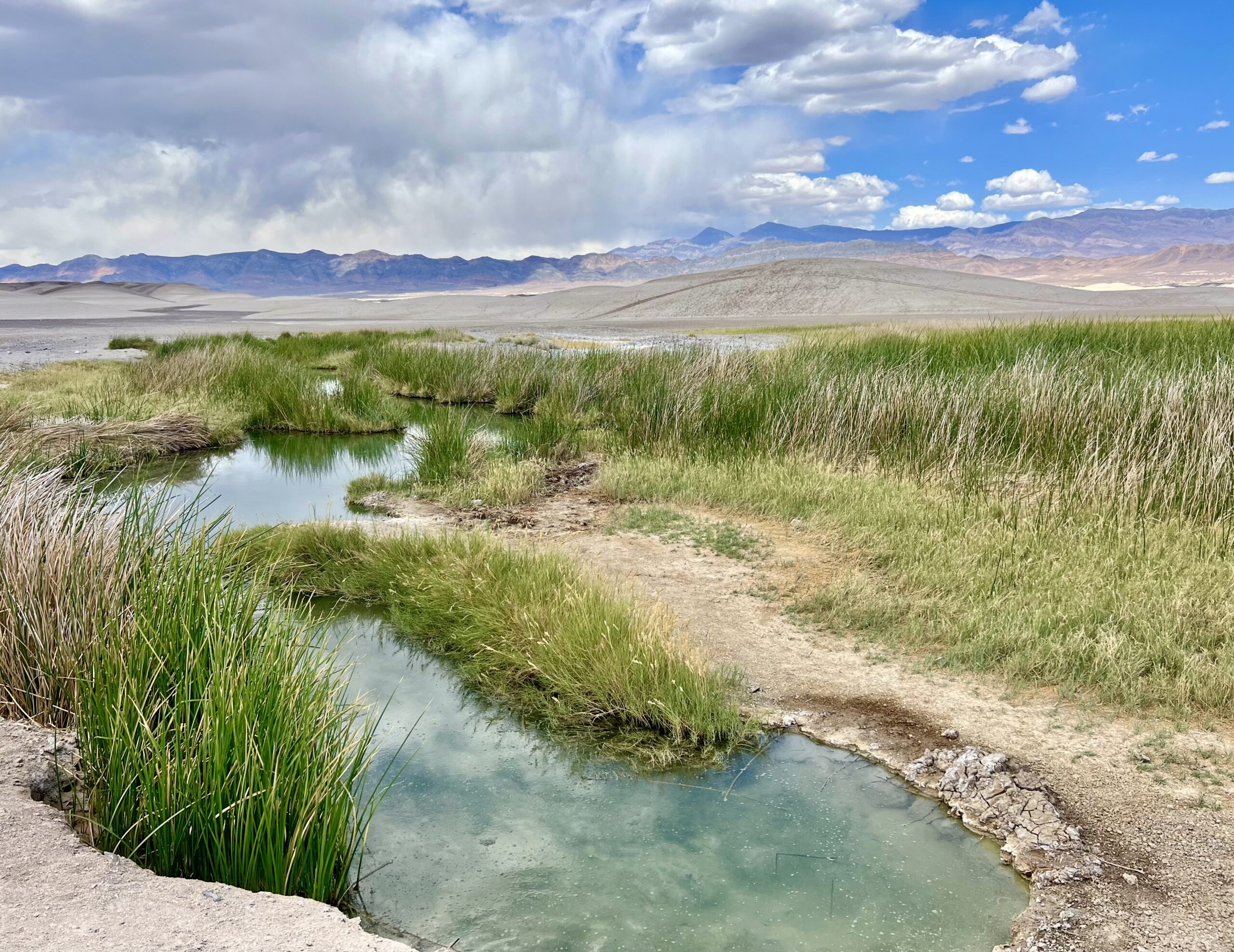 Champions of Science: USGS Publishes AC-Funded Study of Evapotranspiration  in the Amargosa Basin