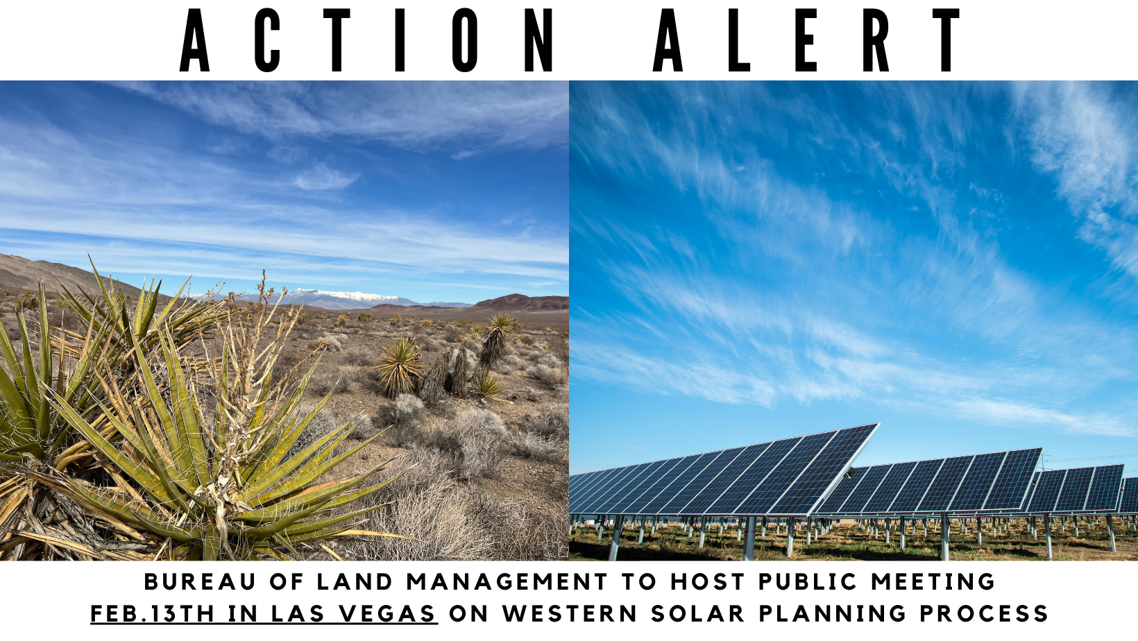 ACTION ALERT: BLM meeting in Las Vegas on the future of solar energy in the West, including the Amargosa River watershed