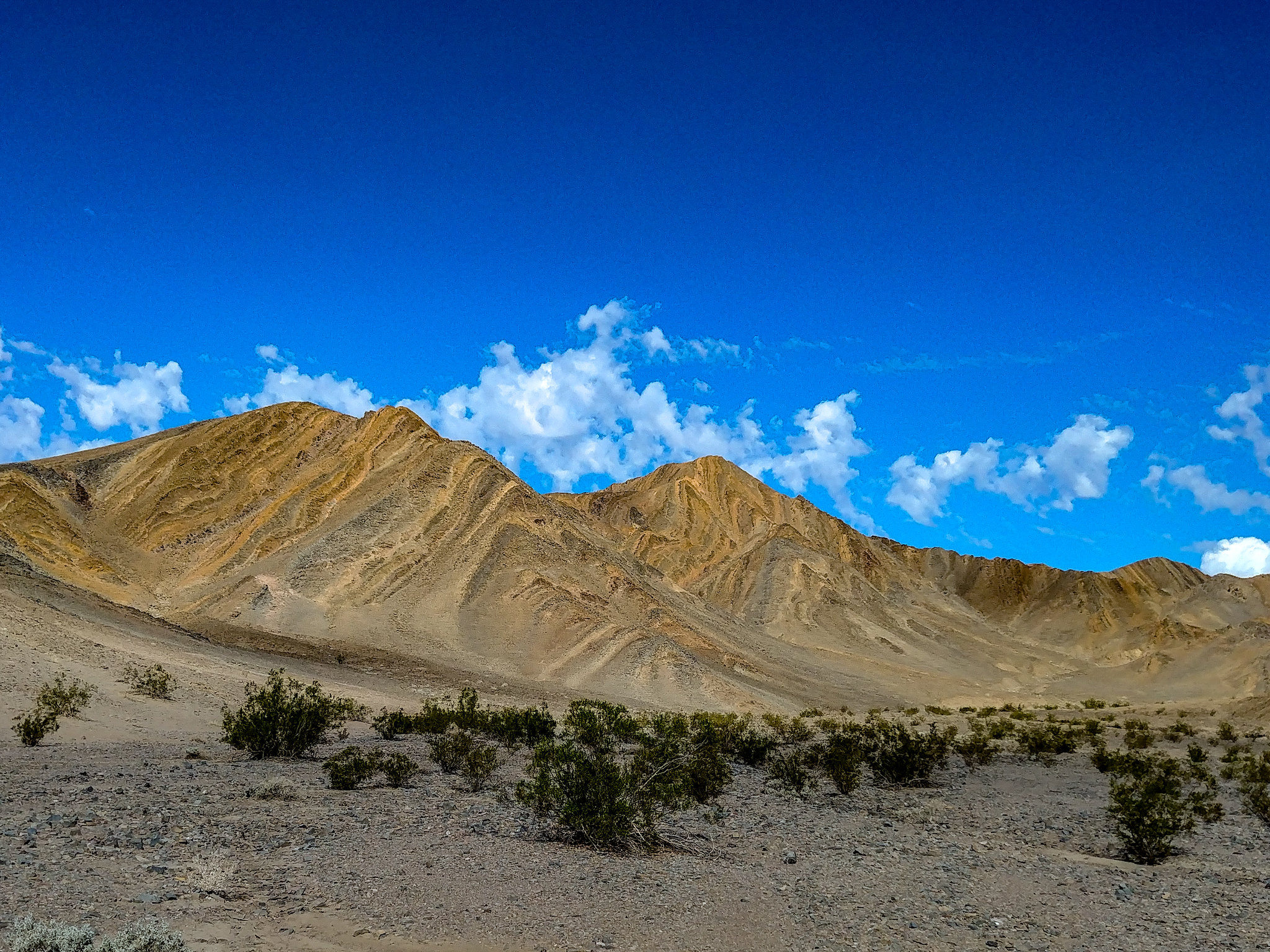 A Brief Geologic Tour of the Amargosa Basin, by AC Board Member Bill Neill