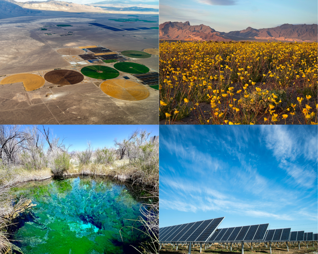 SOLAR ENERGY IN THE AMARGOSA RIVER WATERSHED - Amargosa Conservancy