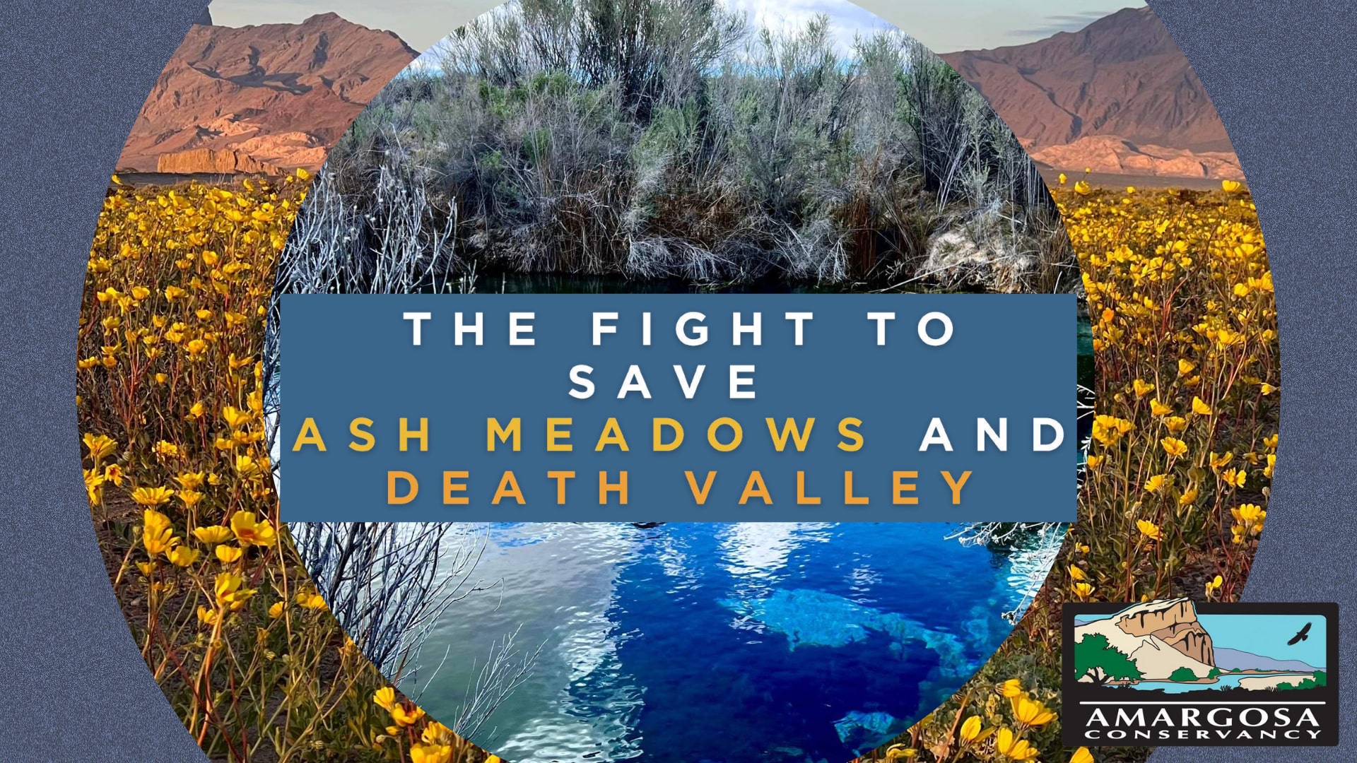 Save Ash Meadows Amargosa Conservancy