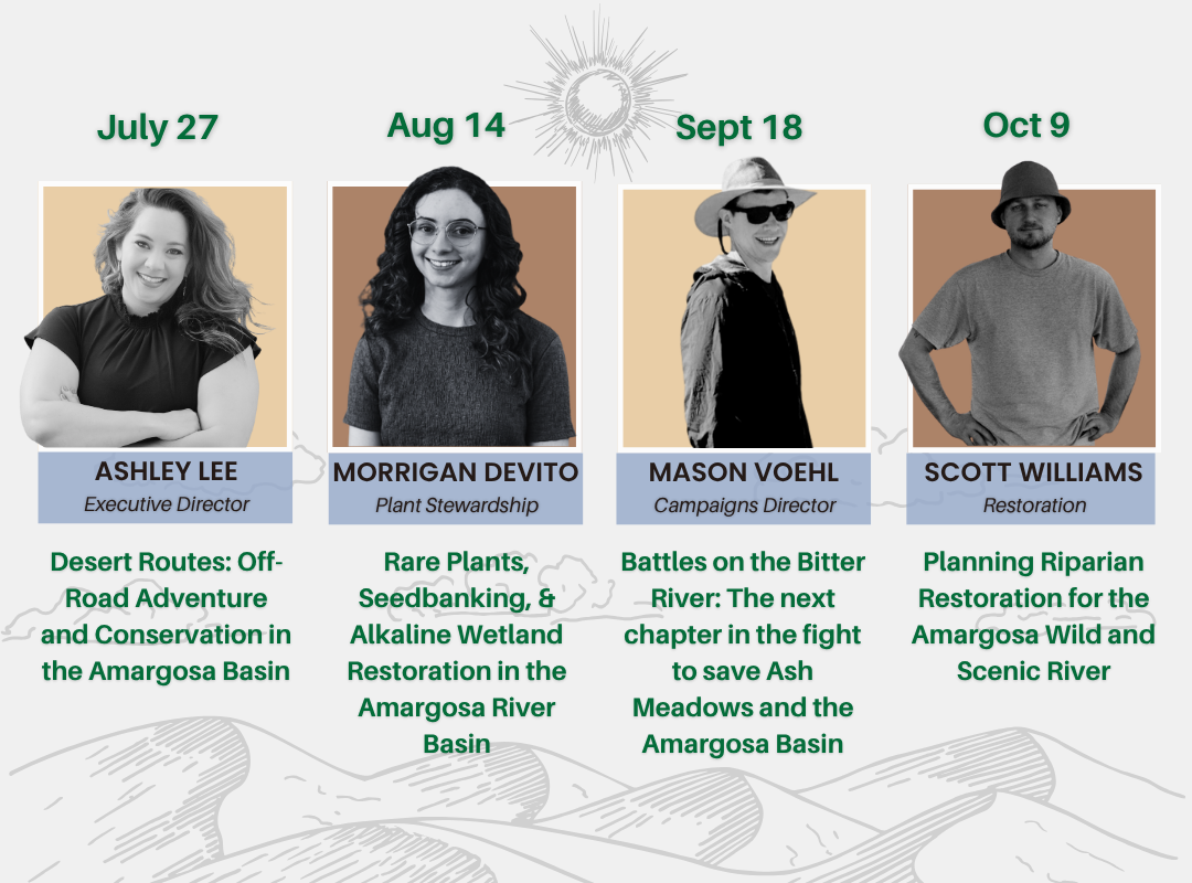 Introducing the 2025 Summer Webinar Series!