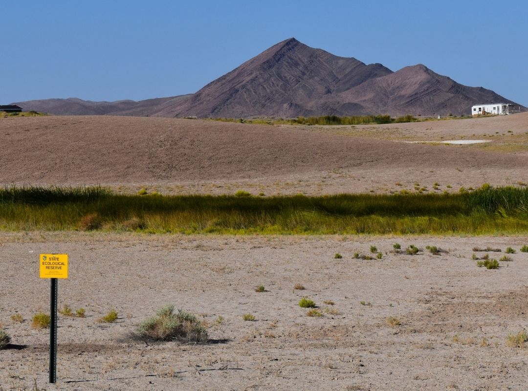 Practicing Stewardship and Reciprocity in Tecopa Hot Springs