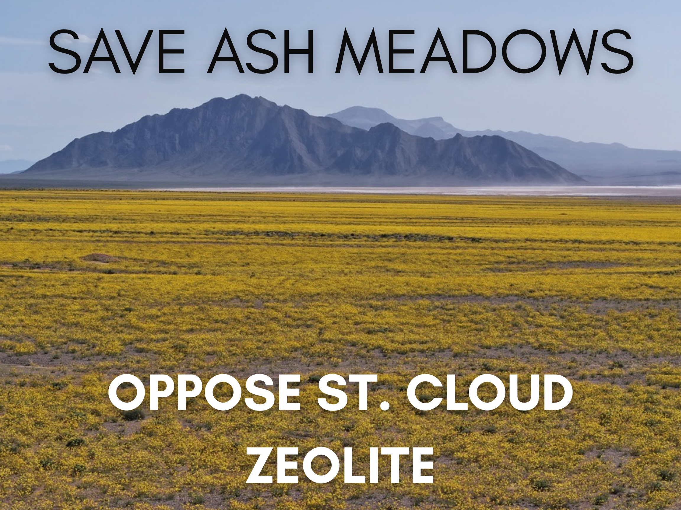 Ash Meadows Threatened Once Again: What’s at Stake with the St. Cloud Mining Project Approval