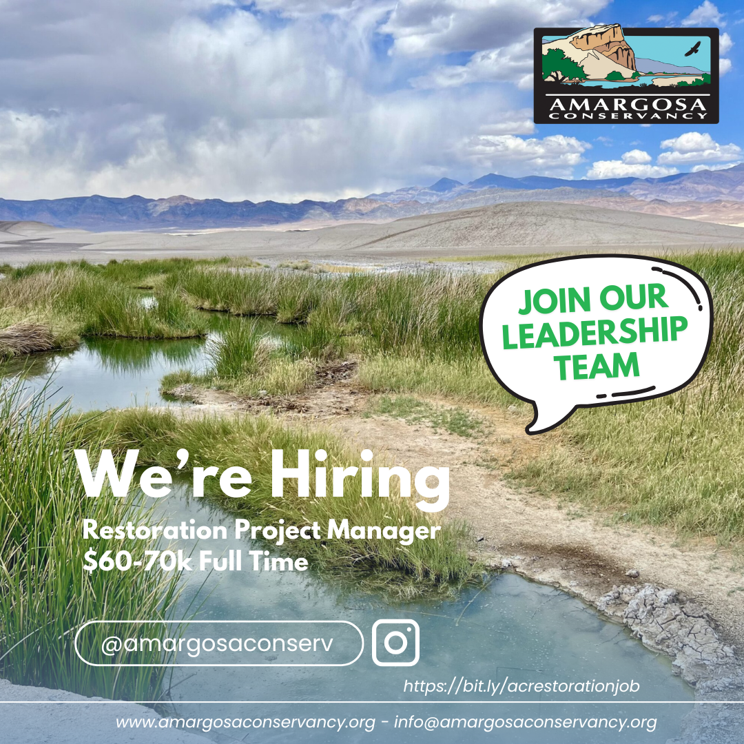 We Are Hiring a Restoration Project Manager!