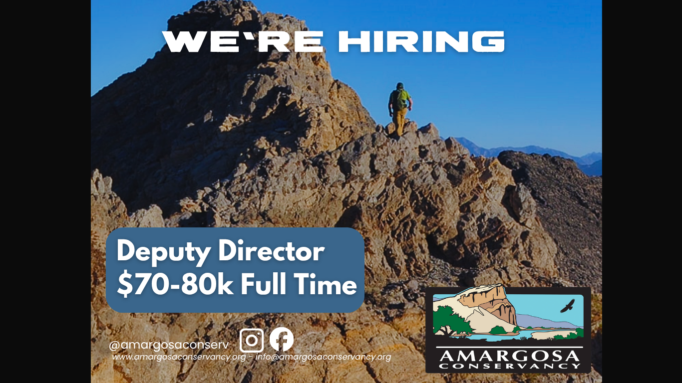 We Are Hiring a Deputy Director!