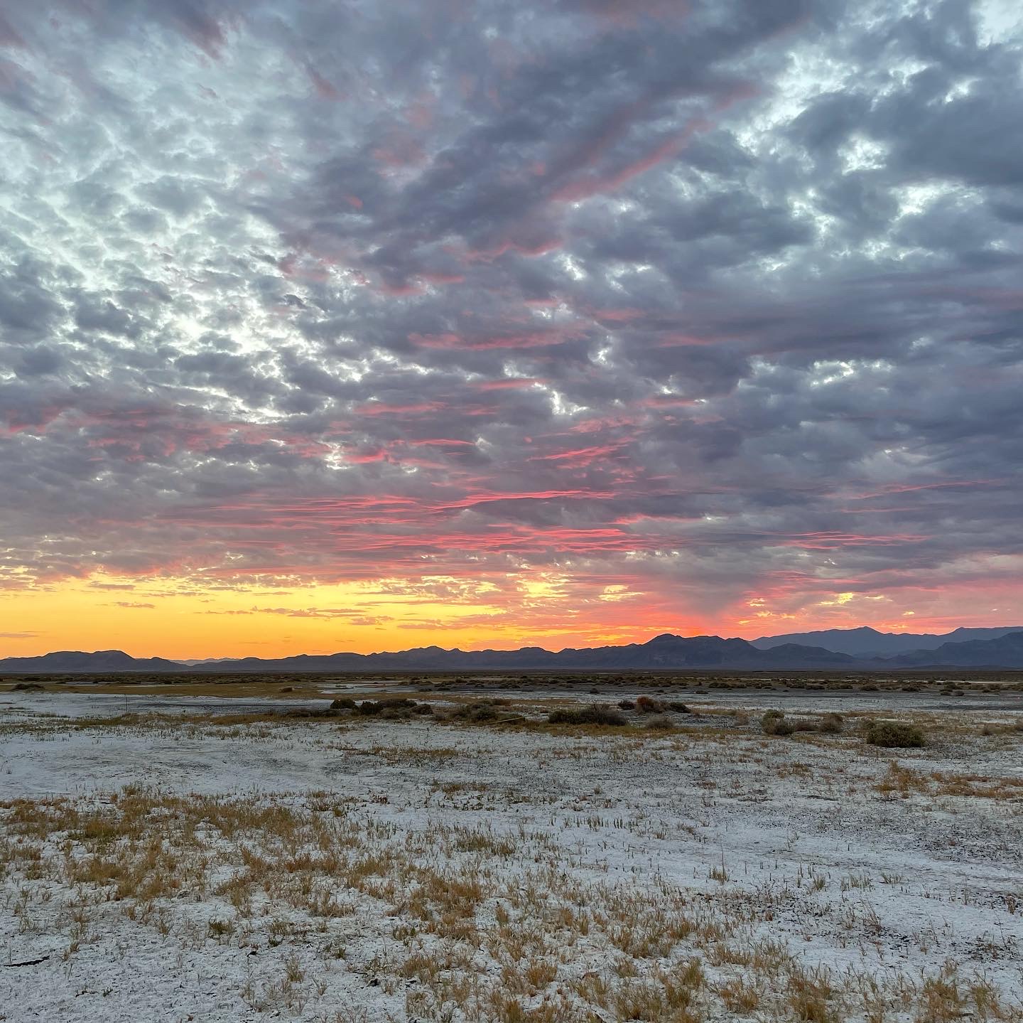 Snapshots of the Lower Carson Slough