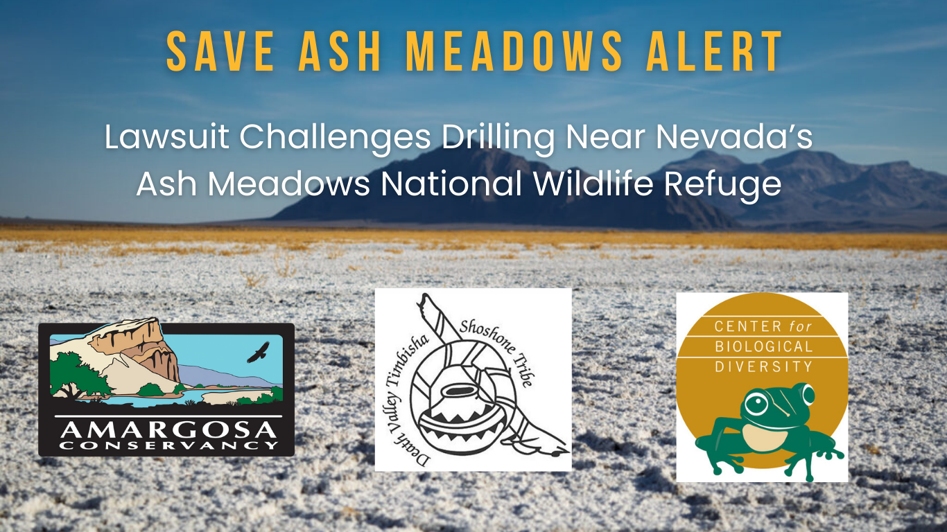 SAVE ASH MEADOWS ALERT: Lawsuit Challenges Drilling Near Nevada’s Ash Meadows National Wildlife Refuge