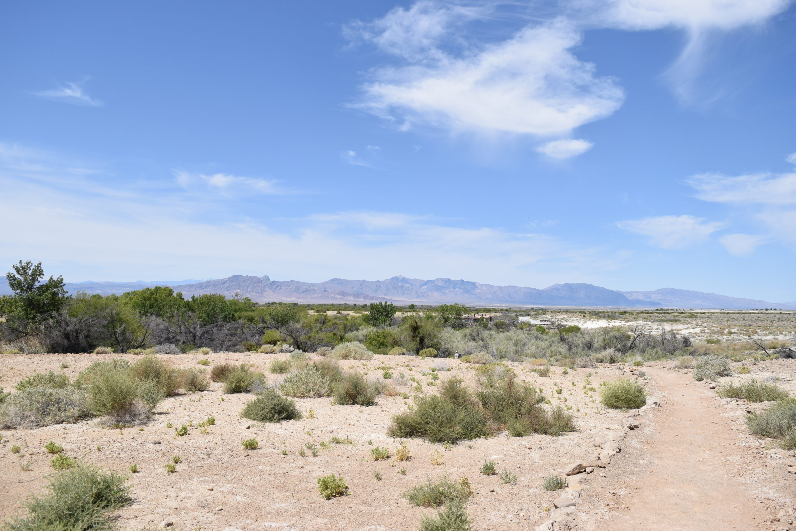 Rethinking the Desert: A Landscape of Abundance, Not Absence
