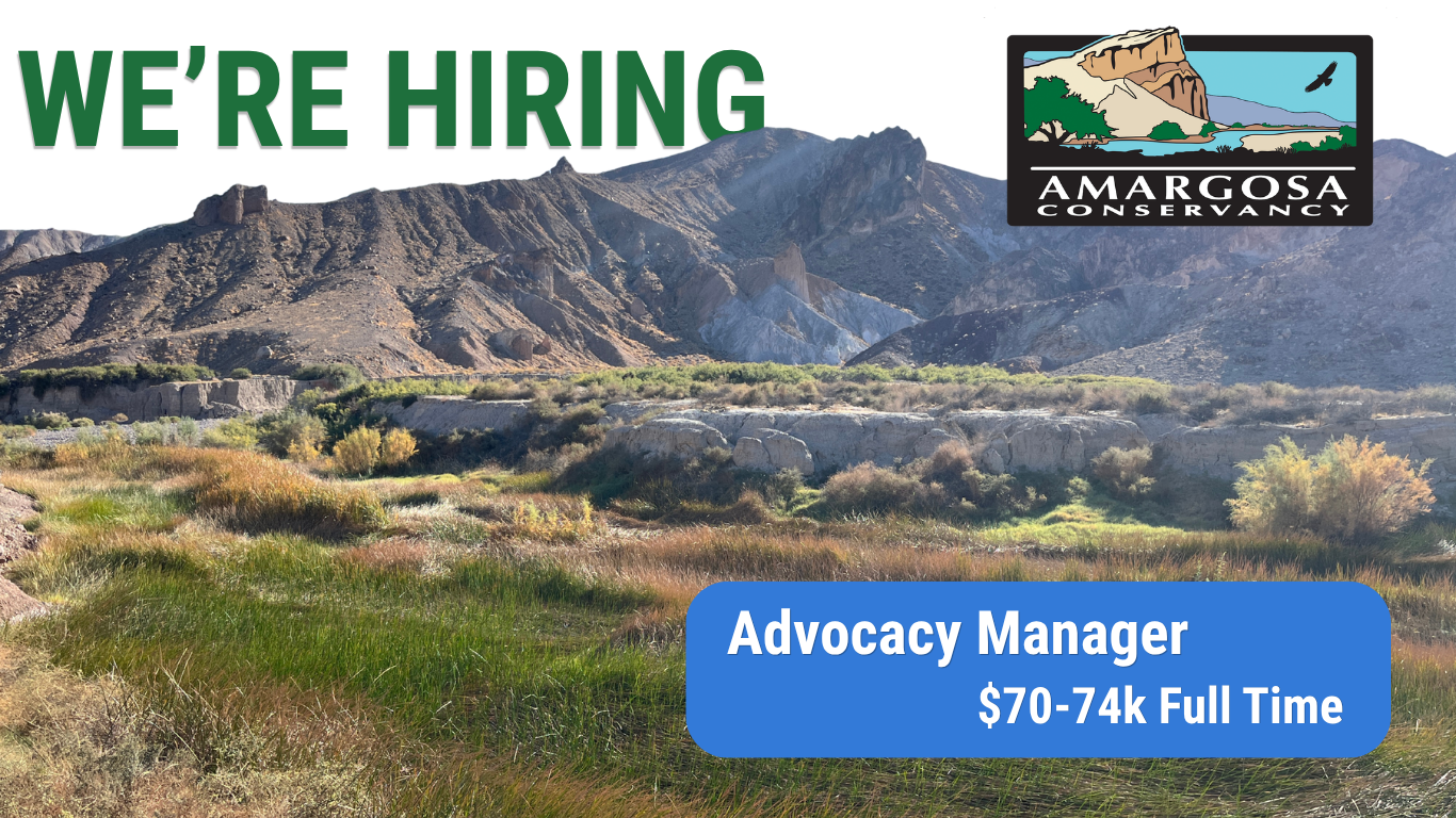 JOIN OUR TEAM: Become the Advocacy Manager of Amargosa Conservancy
