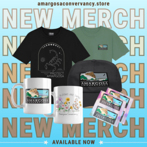 new merch flyer